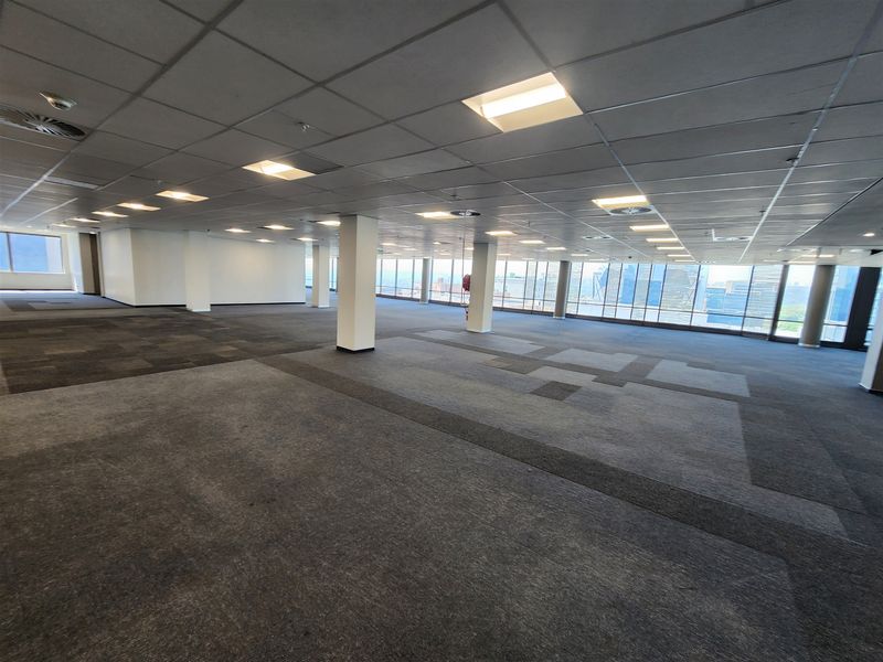 A spacious, open-plan office area featuring large floor-to-ceiling windows, carpeted flooring, and a suspended ceiling with integrated lighting.