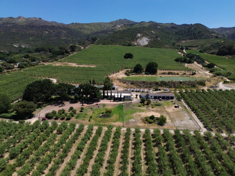 Aerial view of a sprawling farm property featuring extensive orchards, a private dam, and multiple outbuildings set against a scenic mountain backdrop.