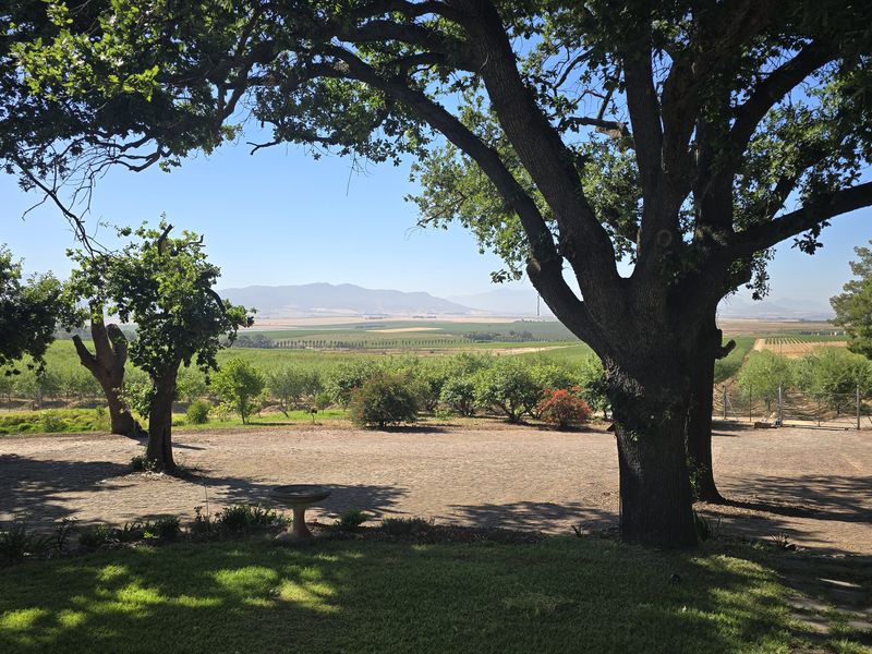 A scenic view overlooking the farm landscape, featuring mature trees, a paved courtyard area, and expansive agricultural fields under a clear sky.