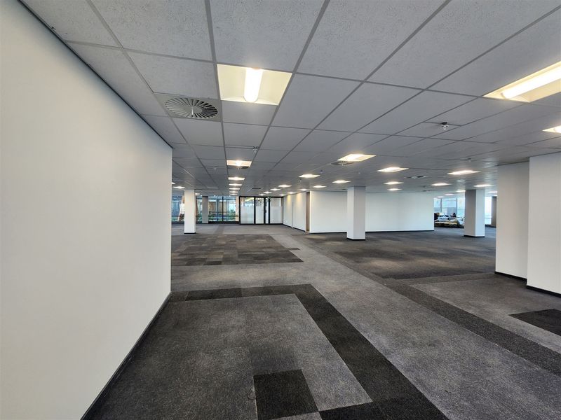 A spacious, open-plan office area featuring a suspended ceiling with recessed lighting, structural columns, and durable carpet tiles throughout.