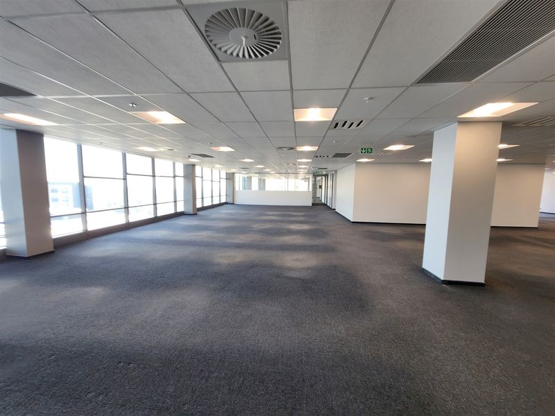 A spacious, open-plan office area featuring large windows, suspended ceilings with recessed lighting, and neutral carpeting, offering a versatile workspace.