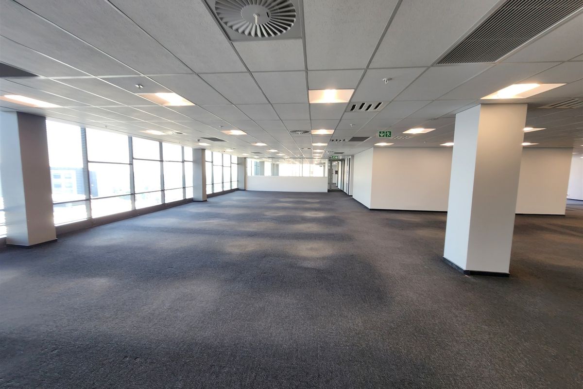 A spacious, open-plan office area featuring large windows, suspended ceilings with recessed lighting, and neutral carpeting, offering a versatile workspace.