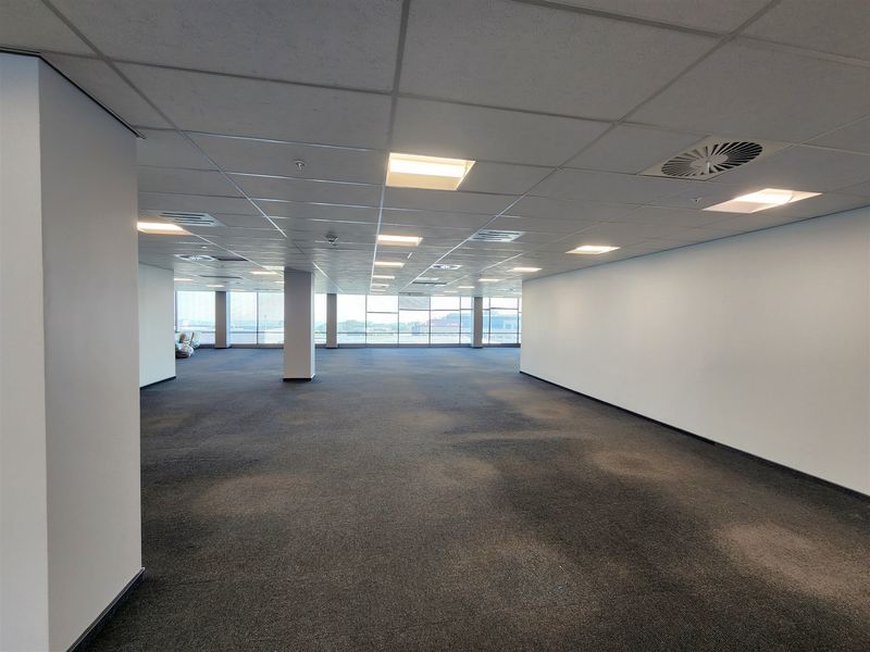A spacious, open-plan office area featuring a suspended ceiling with recessed lighting, large windows providing natural light, and carpeted flooring.