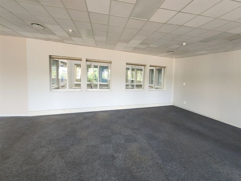 A spacious, empty office area featuring a suspended ceiling, recessed lighting, carpeted flooring, and large windows providing natural light.