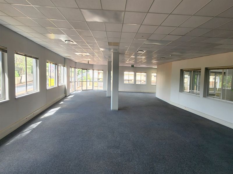 Spacious, open-plan office area featuring a suspended ceiling, large windows providing natural light, and carpeted flooring throughout.