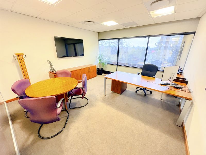A functional office space featuring a suspended ceiling, recessed lighting, carpeted flooring, and a large window providing natural light.
