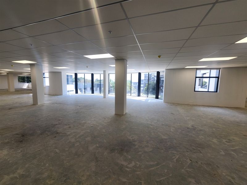 A spacious, open-plan office area featuring a suspended ceiling, recessed lighting, and large windows providing ample natural light and exterior views.
