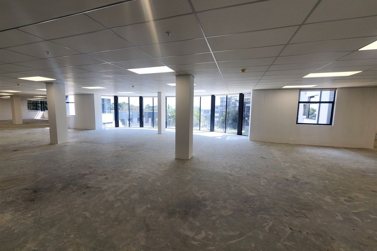 A spacious, open-plan office area featuring a suspended ceiling, recessed lighting, and large windows providing ample natural light and exterior views.