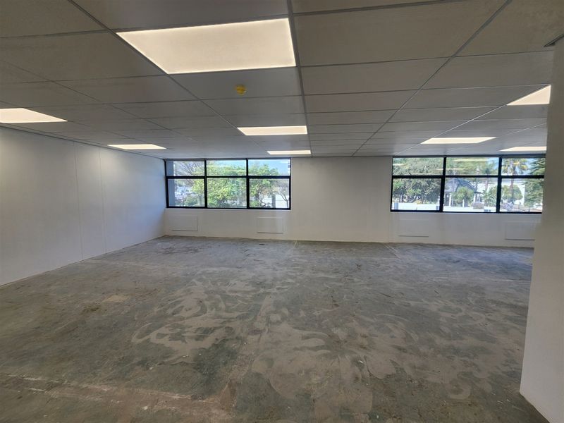 A spacious, empty office area featuring a suspended ceiling with recessed lighting and large windows providing natural light.