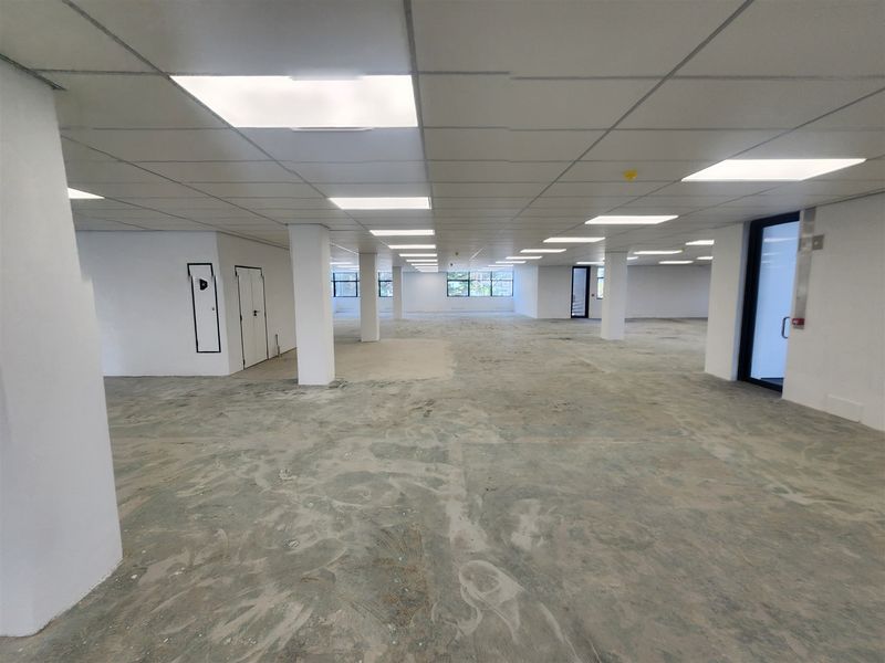 A large, open-plan office space featuring a suspended ceiling with recessed lighting, structural columns, and unfinished concrete flooring, ready for custom fit-out.