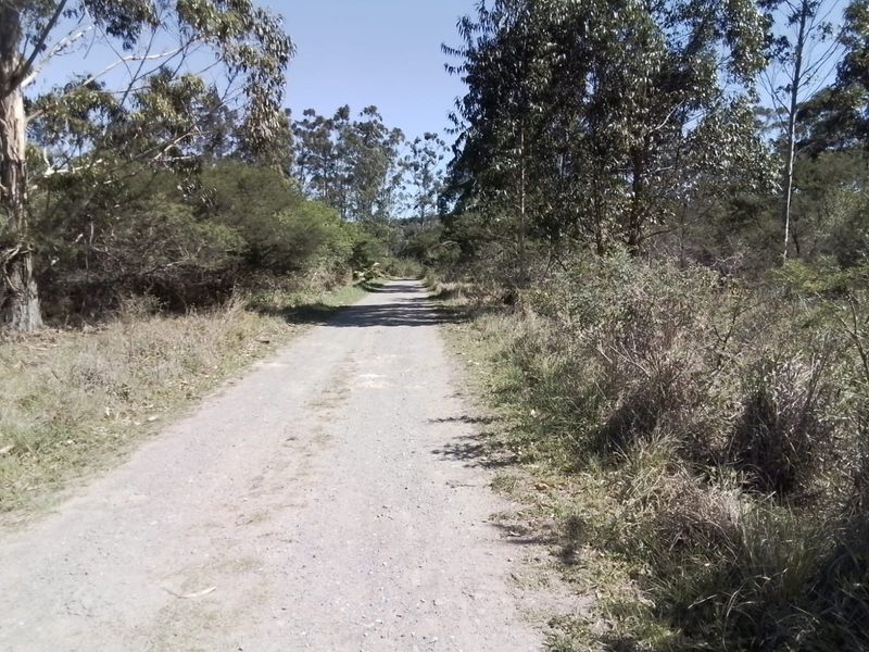 A gravel access road leading through a wooded area on the farm property.