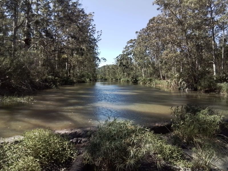 A scenic view of a tranquil river flowing through a lush, tree-lined landscape on the farm property.
