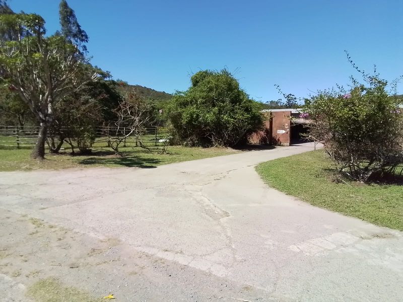 A view of the property entrance featuring a concrete driveway leading towards the main building, surrounded by established trees and garden areas.