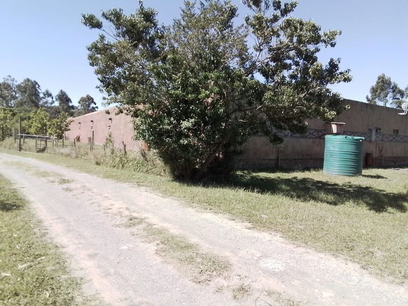 And now for something different! - Photo 5