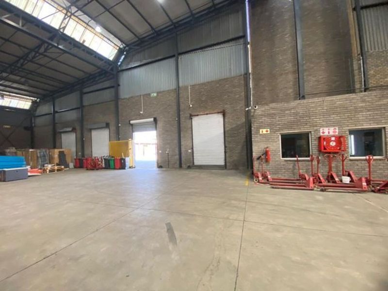 Spacious industrial warehouse featuring high ceilings with exposed steel trusses, concrete flooring, multiple roller shutter doors, and integrated fire safety systems.