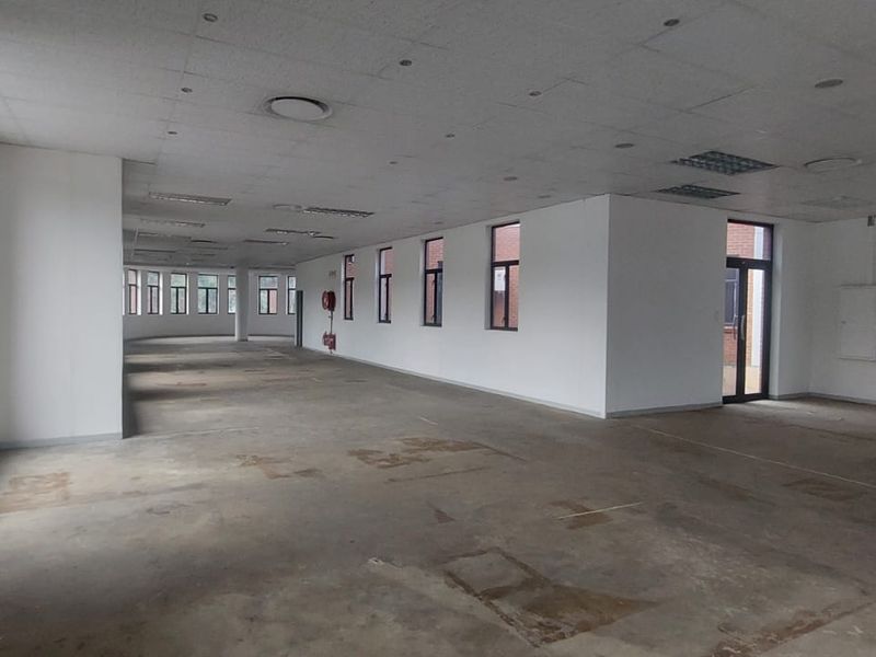 A large, open-plan office space featuring a suspended ceiling, recessed lighting, and expansive windows, currently vacant and ready for custom fit-out.