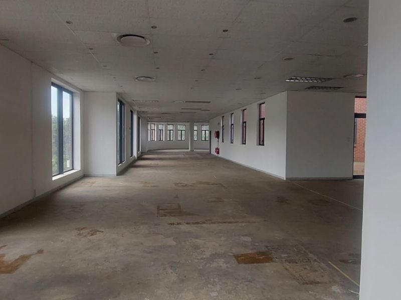 Spacious open-plan office area featuring large windows, structural columns, and a suspended ceiling, currently in need of flooring and ceiling refurbishment.