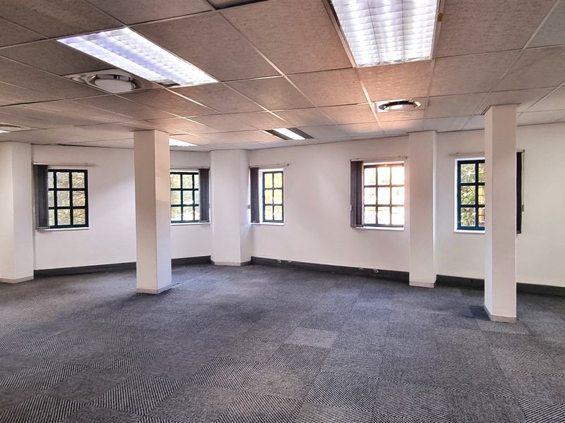 A spacious, open-plan office area featuring carpeted flooring, structural support columns, and multiple grid-style windows providing natural light.