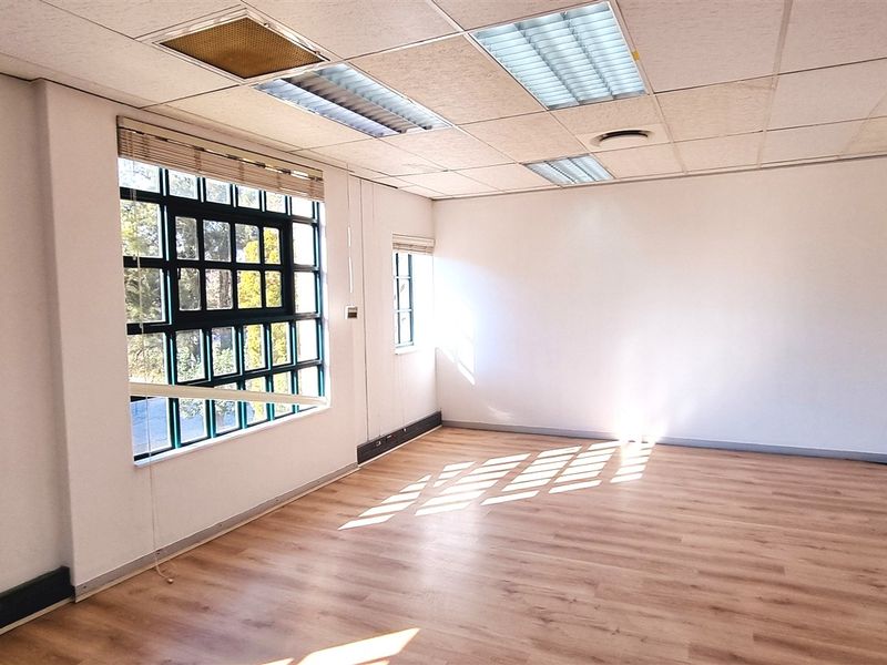 A bright, empty office space featuring laminate flooring, large metal-framed windows, and a suspended ceiling with integrated lighting.