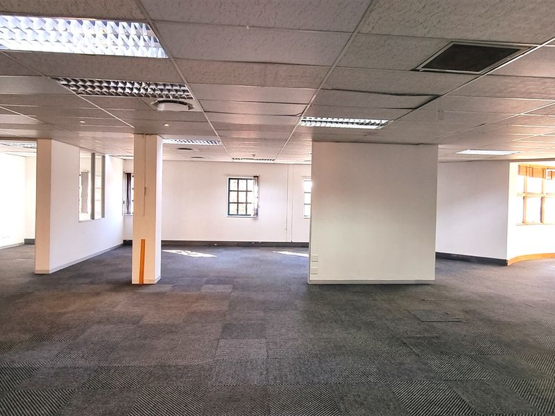 Spacious open-plan office area featuring suspended ceilings, recessed lighting, and carpeted flooring, offering a versatile layout for various business configurations.