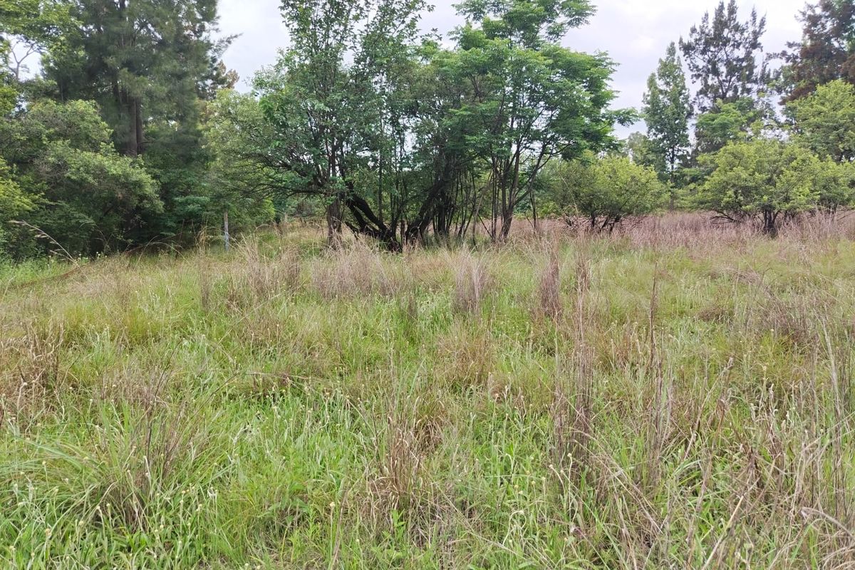Buffelspoort - Rare Opportunity  – Two Adjacent vacant Stands - Photo 2