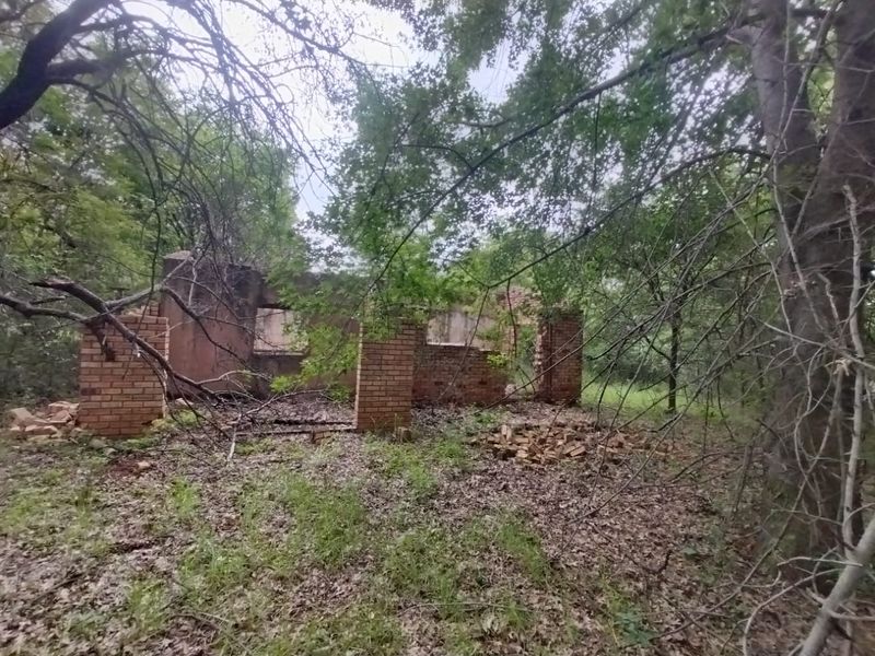 A dilapidated brick structure in a heavily wooded area, showing significant structural decay with missing roof and wall sections.