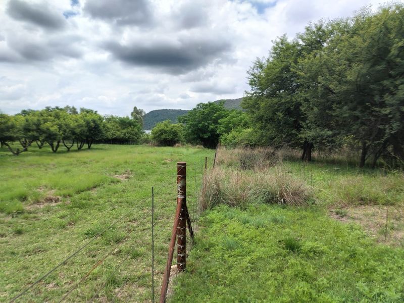 A view of the farm grounds featuring open grassy fields, mature trees, and a wire perimeter fence.