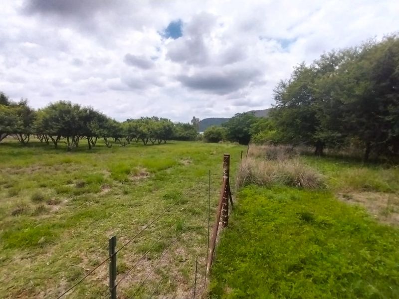 A view of the farm grounds featuring open pasture, established orchard trees, and wire perimeter fencing under a cloudy sky.