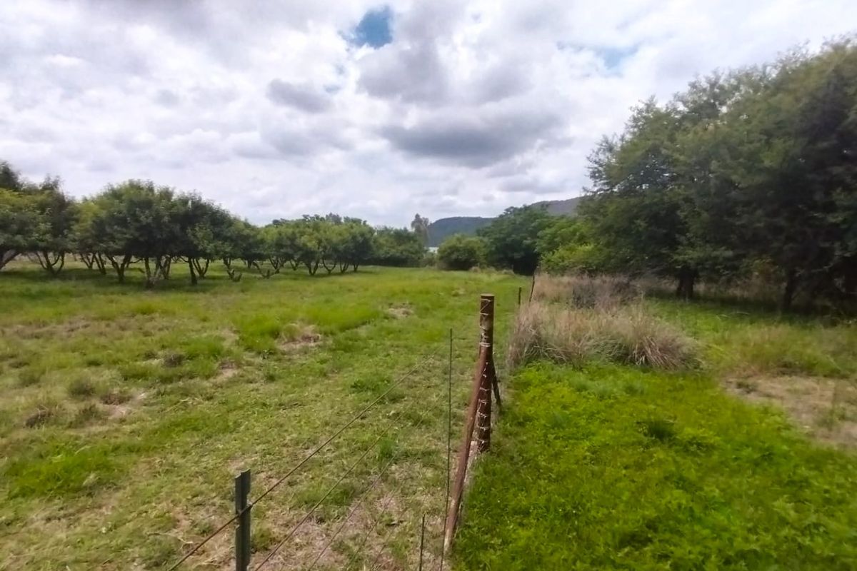 A view of the farm grounds featuring open pasture, established orchard trees, and wire perimeter fencing under a cloudy sky.