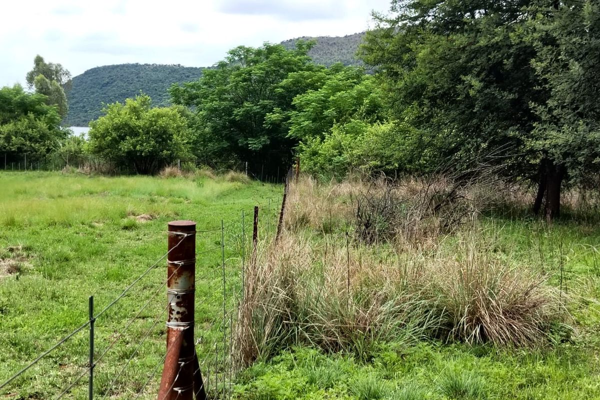 A view of the farm grounds featuring natural vegetation, mature trees, and existing wire perimeter fencing with metal posts.