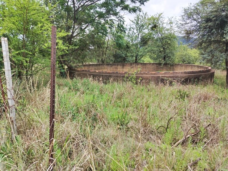 An outdoor area on the farm featuring a large, weathered concrete water reservoir surrounded by overgrown vegetation and a wire fence.