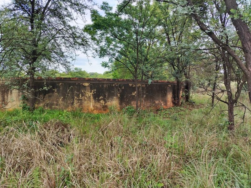 A weathered circular brick water reservoir situated in a wooded, overgrown garden area on the farm property.