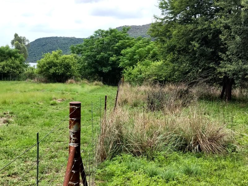 A view of the farm grounds featuring natural vegetation, mature trees, and existing wire perimeter fencing with metal posts.