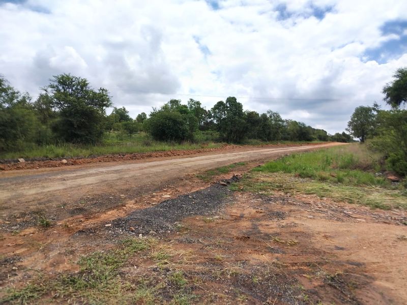 A view of an unpaved rural access road surrounded by natural vegetation and open landscape.