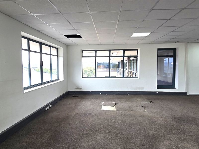 An empty, open-plan office space featuring large windows, suspended ceilings with recessed lighting, and carpeted flooring in need of maintenance.