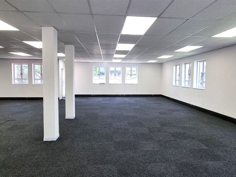 A spacious, open-plan office area featuring a suspended ceiling, recessed lighting, carpet tiles, and multiple windows providing ample natural light.