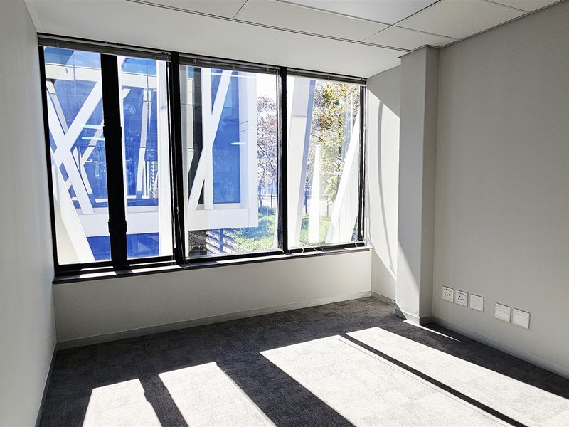 A bright, empty office space featuring carpet tiles, a suspended ceiling, and large windows providing ample natural light.