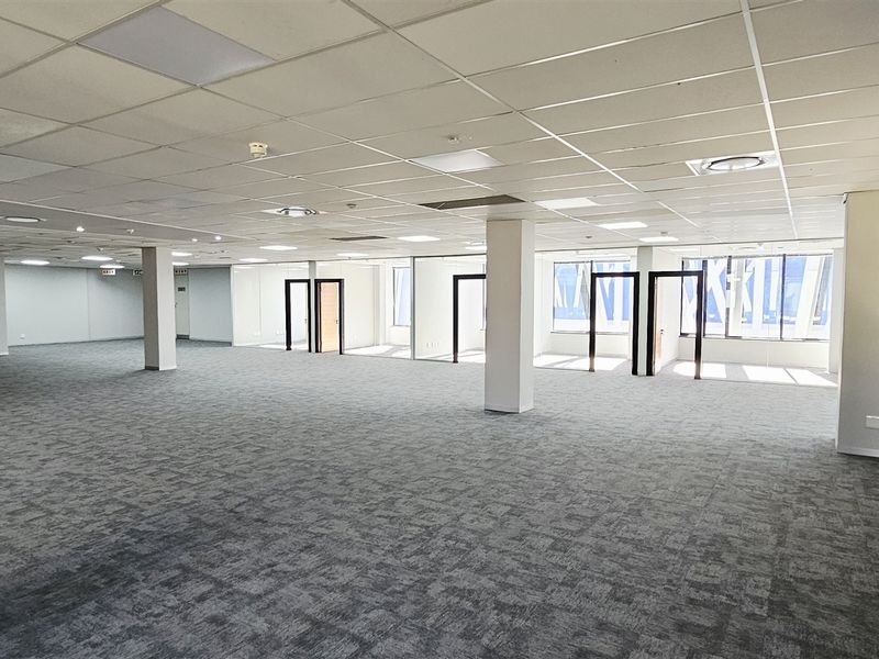 Spacious open-plan office area featuring a suspended ceiling, recessed lighting, large windows for natural light, and carpeted flooring throughout.