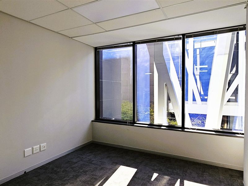 A bright, empty office space featuring large windows, neutral walls, carpeted flooring, and a suspended ceiling, ideal for a professional workspace.