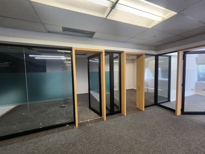Empty office space featuring modern glass partitions with timber frames, carpeted flooring, and a suspended ceiling with integrated lighting.