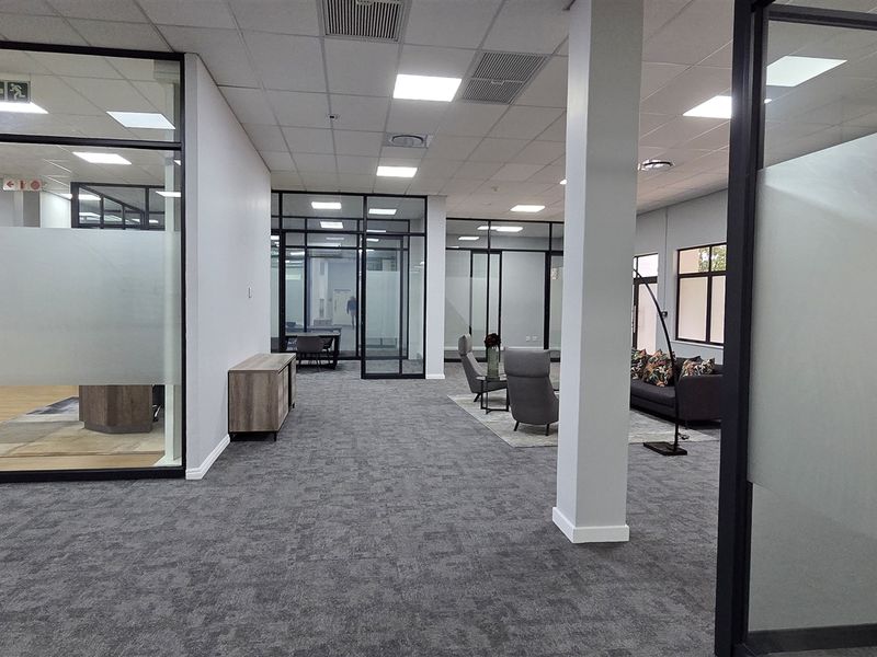 Modern open-plan office space featuring high-quality glass partitioning, suspended ceilings with recessed lighting, and professional carpet flooring throughout.