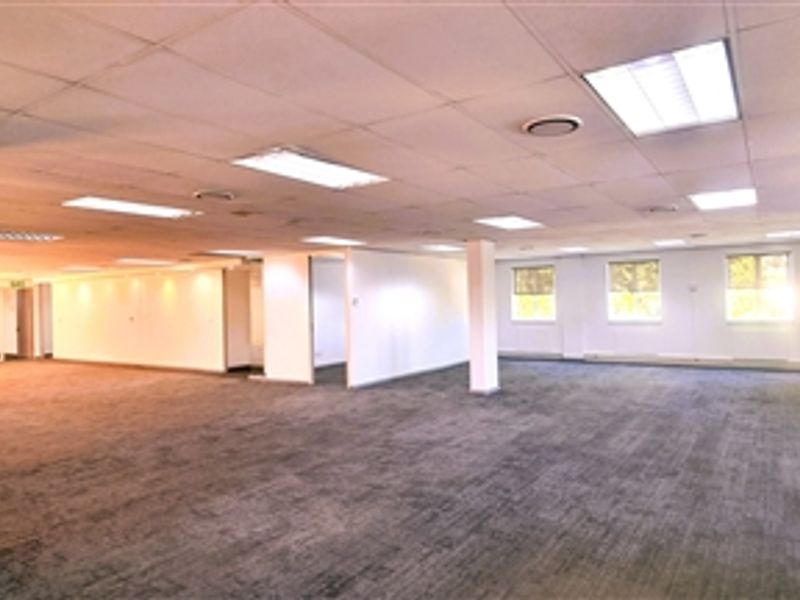 Spacious open-plan office area featuring a suspended ceiling, recessed lighting, and carpeted flooring, providing a versatile workspace environment.