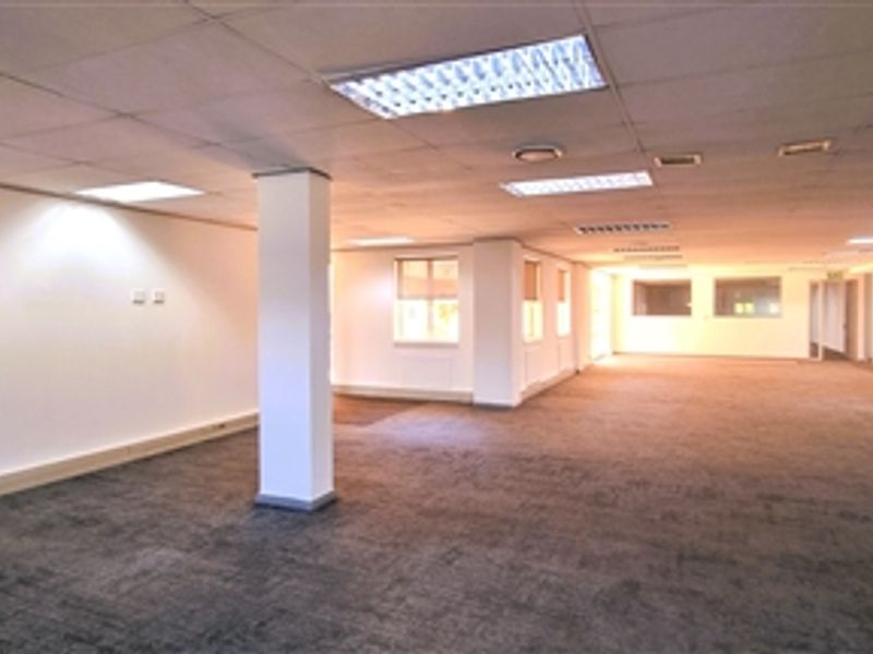 A spacious, open-plan office area featuring a suspended ceiling with recessed lighting and carpeted flooring, providing a versatile workspace environment.