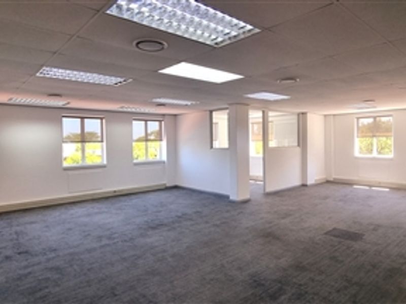 A spacious, open-plan office area featuring neutral carpeting, a suspended ceiling with recessed lighting, and large windows providing ample natural light.