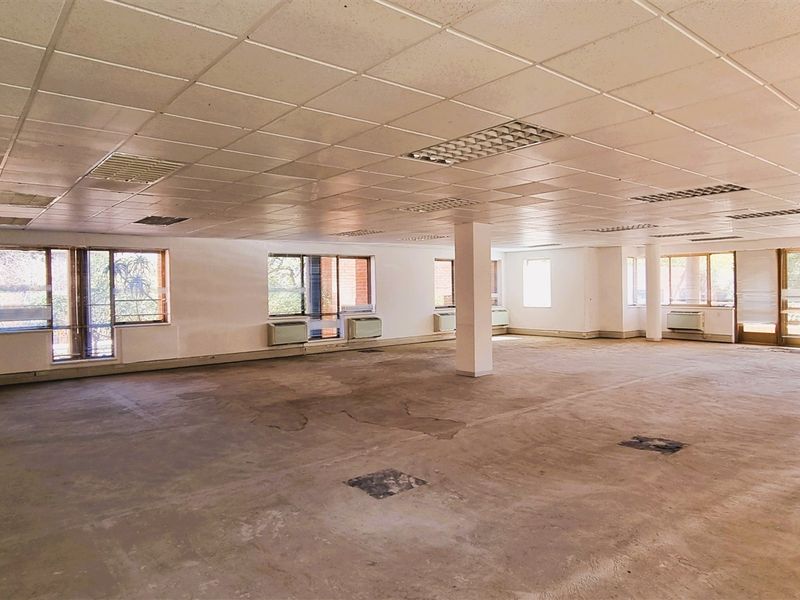 Spacious, open-plan office area featuring a suspended ceiling, recessed lighting, and large windows providing ample natural light.