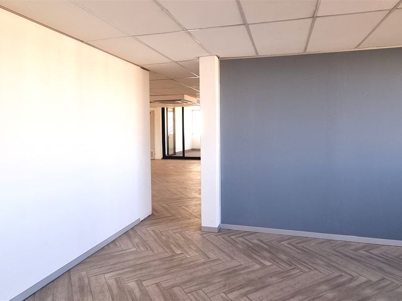 A bright, empty office space featuring a modern herringbone floor, a suspended ceiling, and a contrasting blue accent wall.