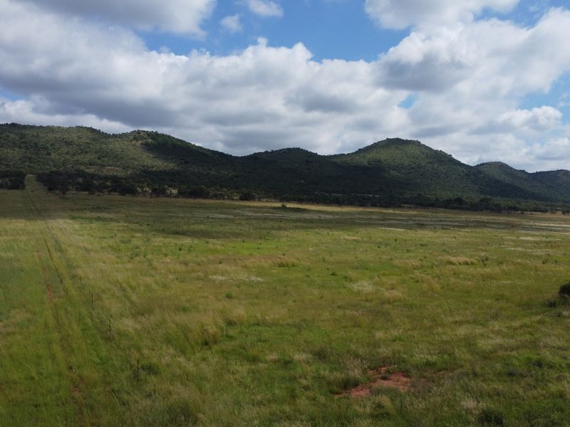 Prime Farmland Close to Buffelspoort Dam at Reduced Bargain Price! - Photo 6
