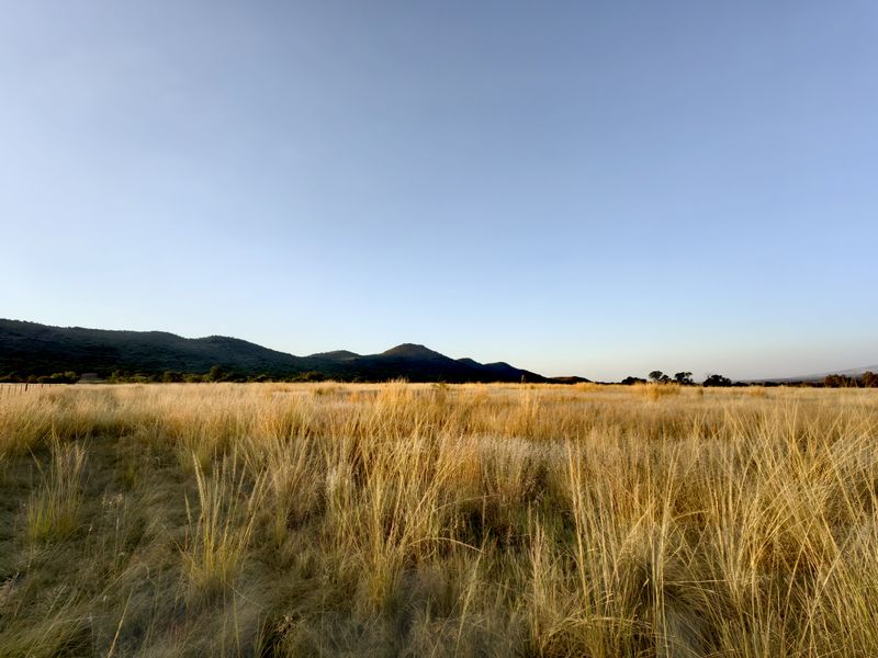 Prime Farmland Close to Buffelspoort Dam at Reduced Bargain Price! - Photo 10