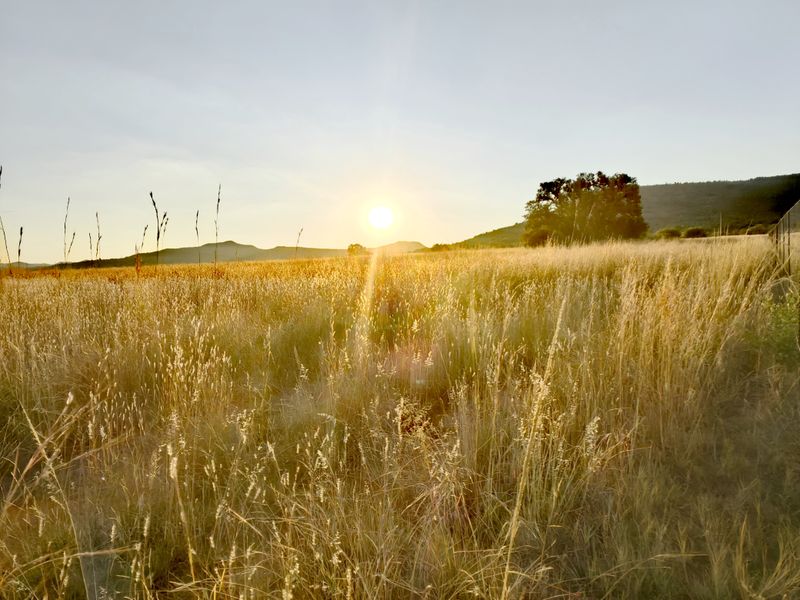 Prime Farmland Close to Buffelspoort Dam at Reduced Bargain Price! - Photo 9