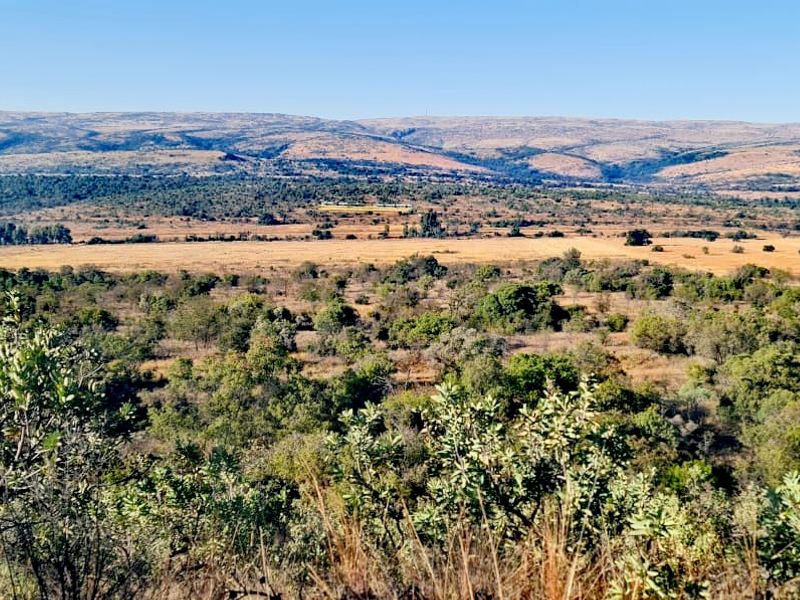 Prime Farmland Close to Buffelspoort Dam at Reduced Bargain Price! - Photo 8